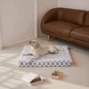 ksiiadogbedGD051-11 Ksiia Orthopedic Memory Foam Pet Bed
