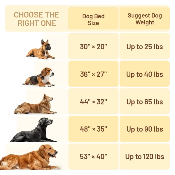 ksiiadogbedGD052-3_e5349e2e-8164-42f3-934d-d43469125c57 Ksiia Orthopedic Memory Foam Pet Sofa Bed-Cozy