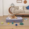 Ksiia Orthopedic Memory Foam Pet Sofa Bed-Cozy